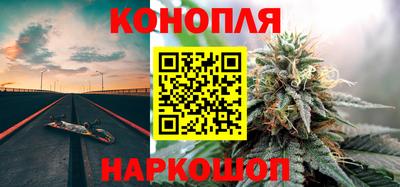 МДПВ Славгород