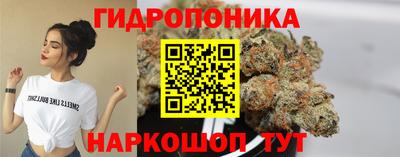 apvp Сланцы