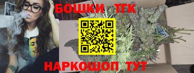 МДПВ Славгород