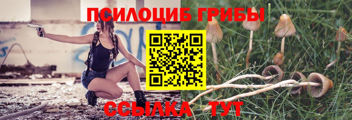Псилоцибиновые грибы ЛСД  Вход с VPN  Новороссийск 
