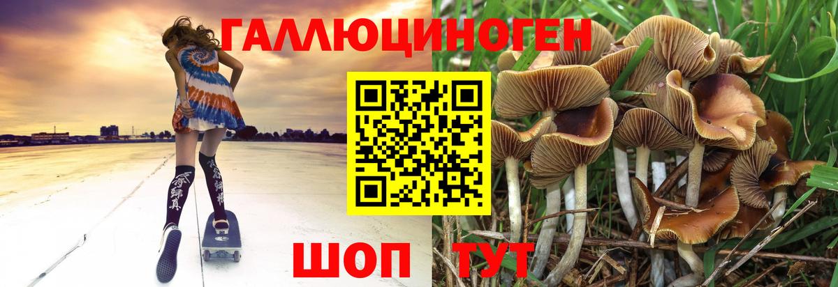 Псилоцибиновые грибы MAGIC MUSHROOMS Новороссийск